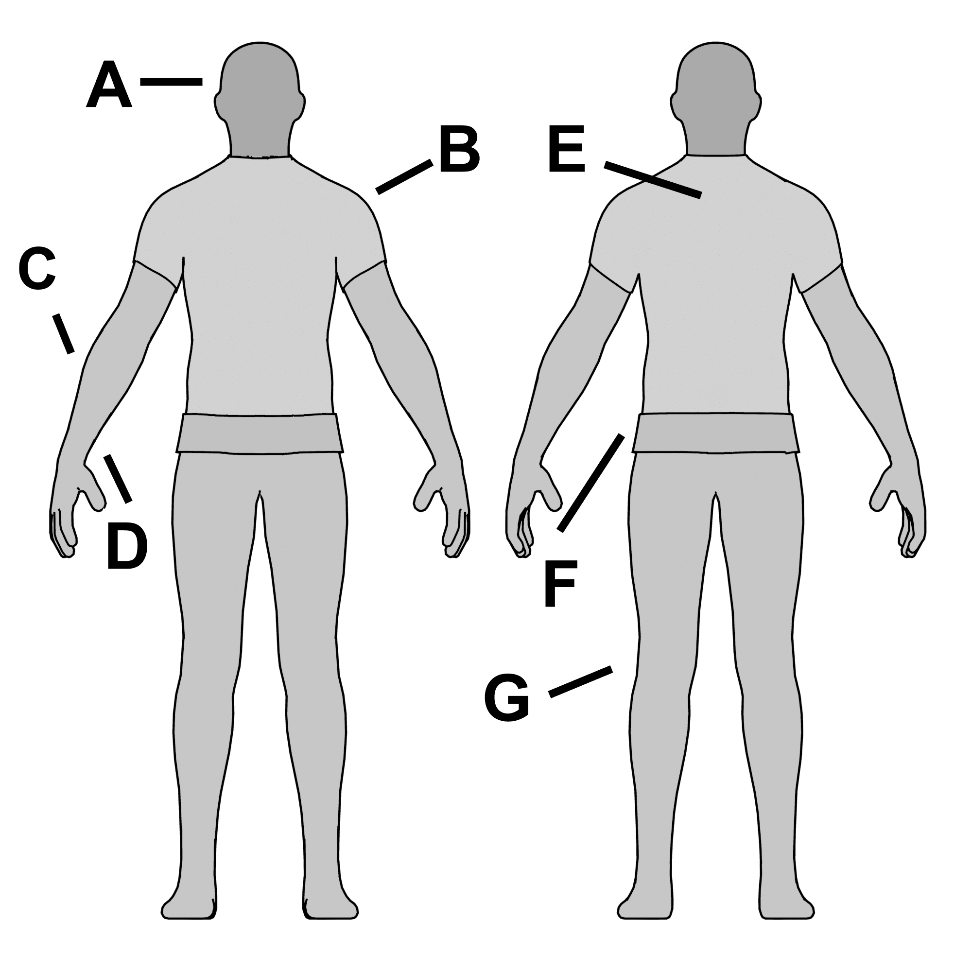 Measurement Diagram